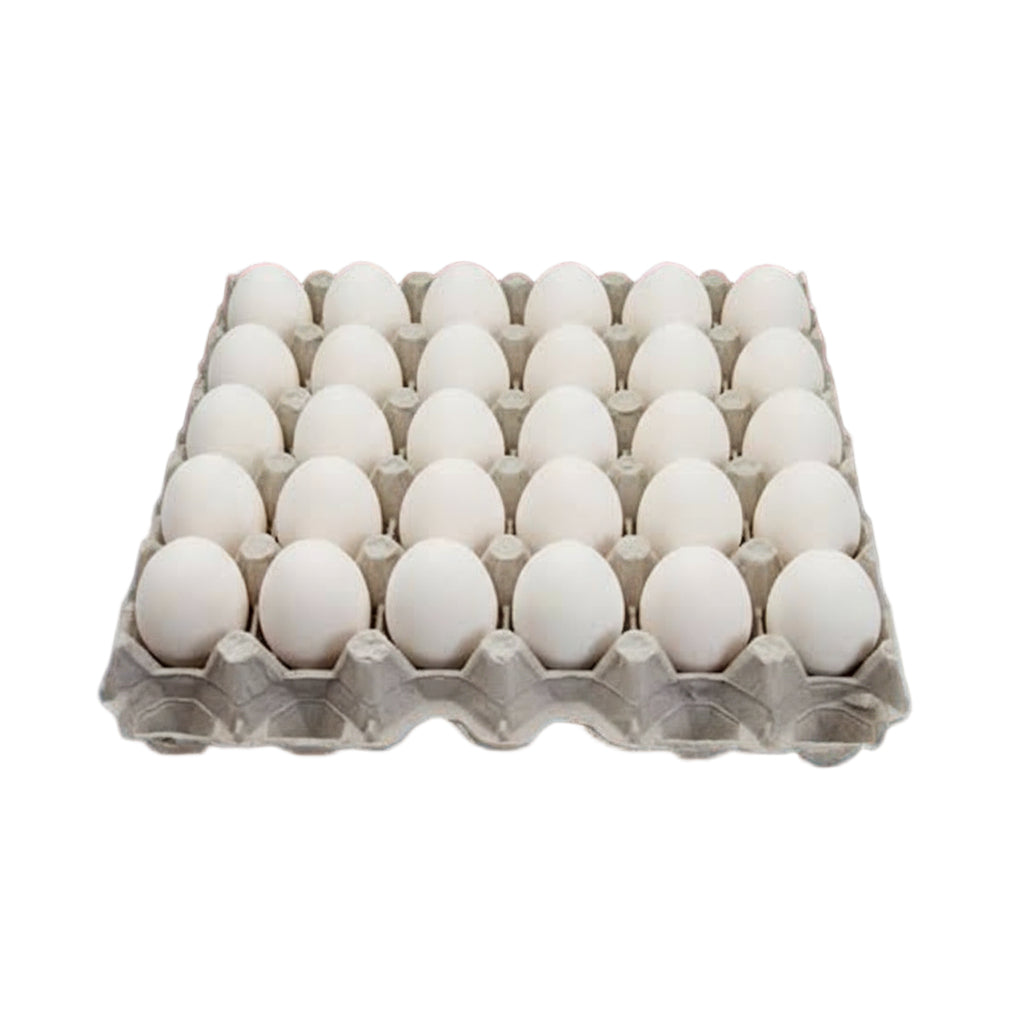 Farm egg (6pcs)